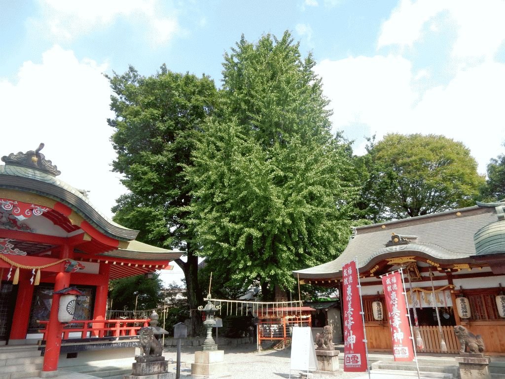 ⛩️ 쿠레하 신사 (呉服神社) 이미지 1
